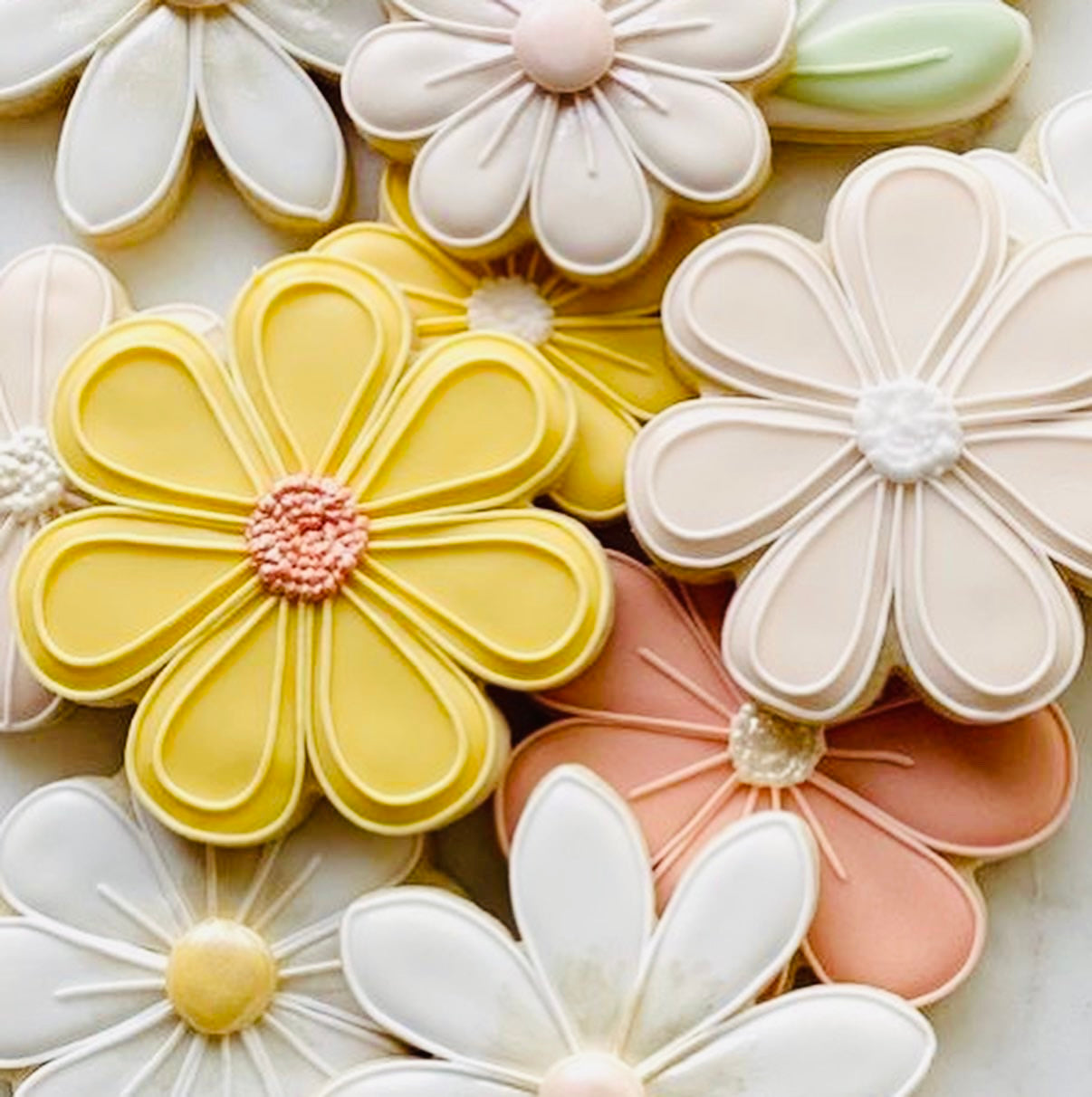 Sugar Cookies